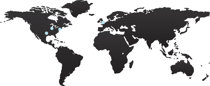 Premium Network Map